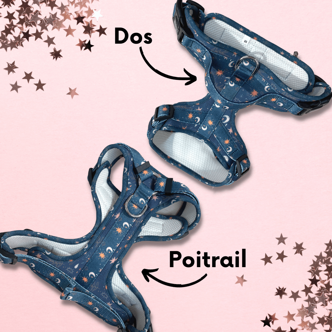 Harnais pour chien anti-traction - Comfy Moonlight