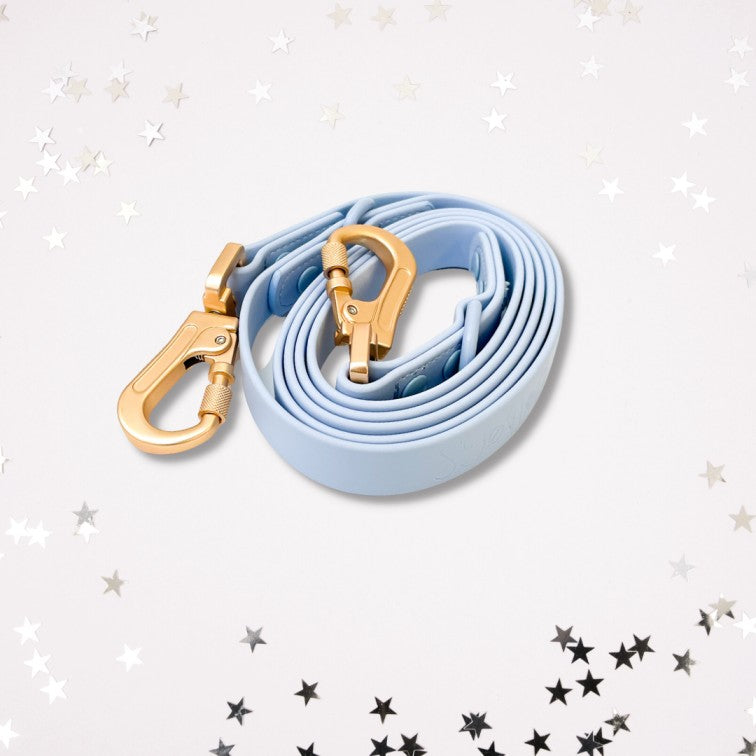 Laisse Multipositionnable PVC - Virgo