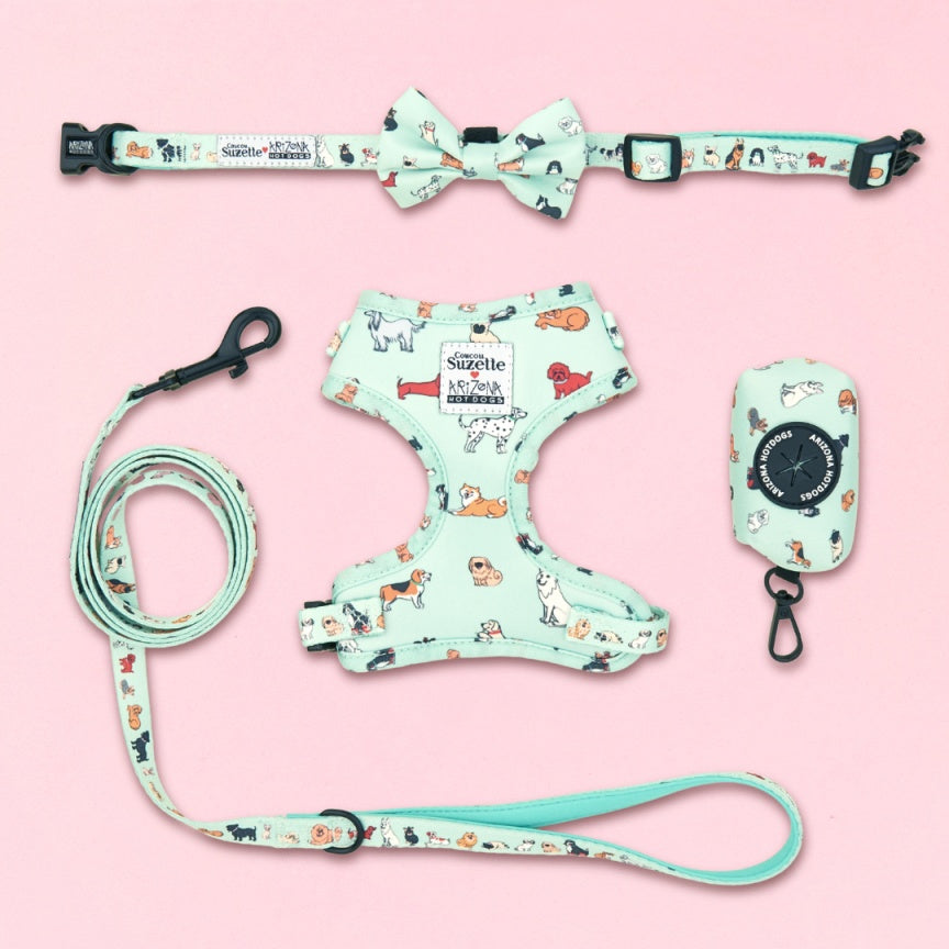 Harnais pour chien en H - Coucou Suzette