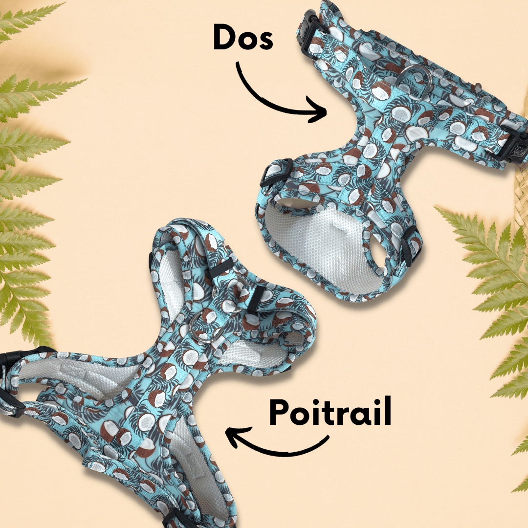 Harnais pour chien anti-traction - Comfy Coconut