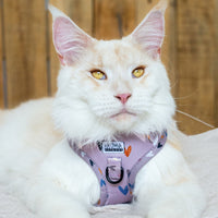 Thumbnail for Harnais ajustable pour chats couleur taupe à motif petits coeurs