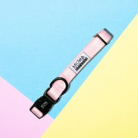 Thumbnail for Collier Nylon pour chien - Marshmallow