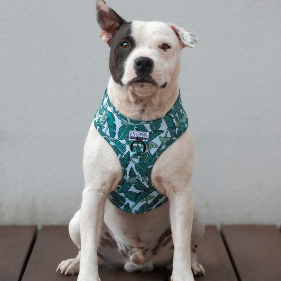 Harnais réglable pour chien