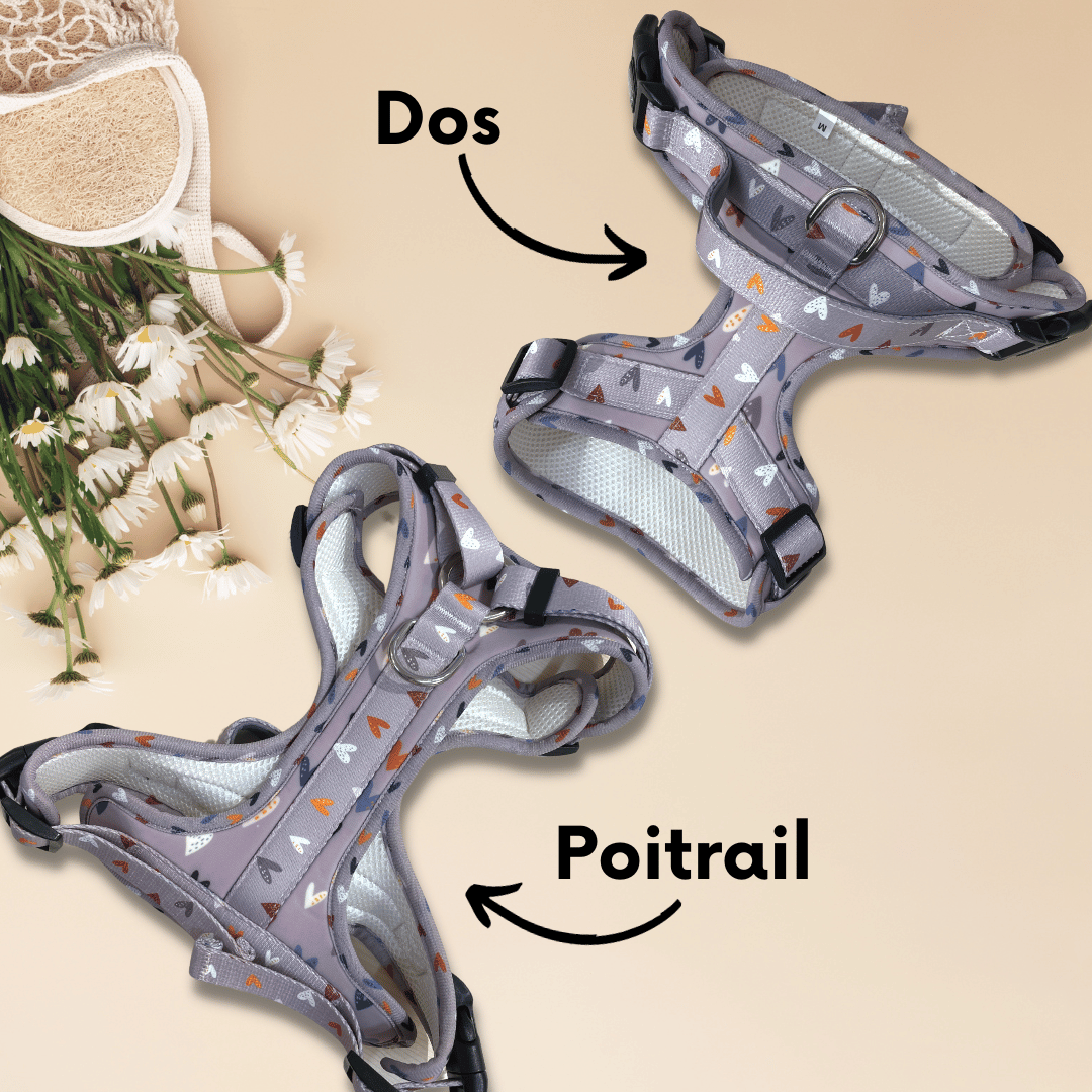 Harnais pour chien anti-traction - Comfy Sweet Love