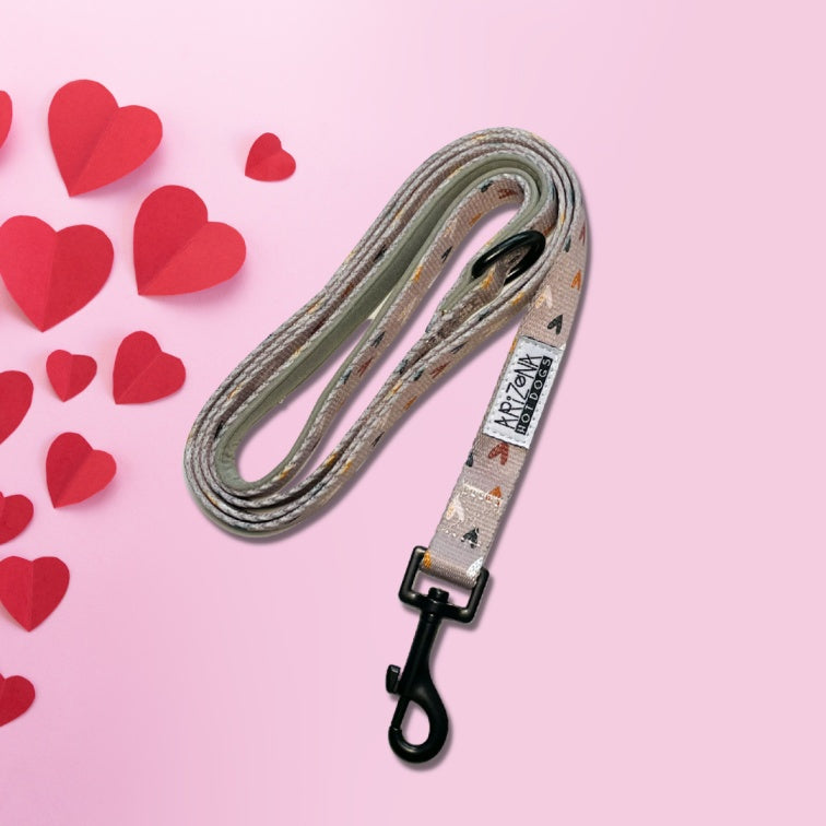 Laisse Nylon pour chien - Sweet Love