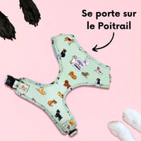Thumbnail for Harnais pour chien en H - Coucou Suzette