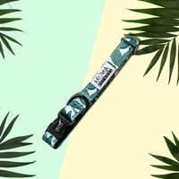 Thumbnail for Collier Nylon pour chien - Amazonia