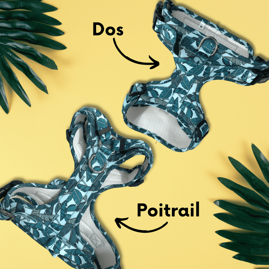 Harnais pour chien anti-traction - Comfy Amazonia