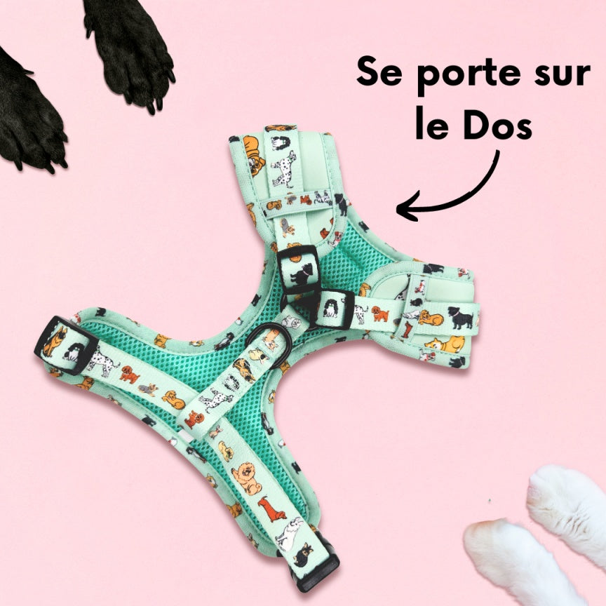 Harnais pour chien en H - Coucou Suzette
