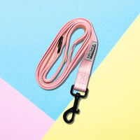 Thumbnail for Laisse Nylon pour chien - Marshmallow
