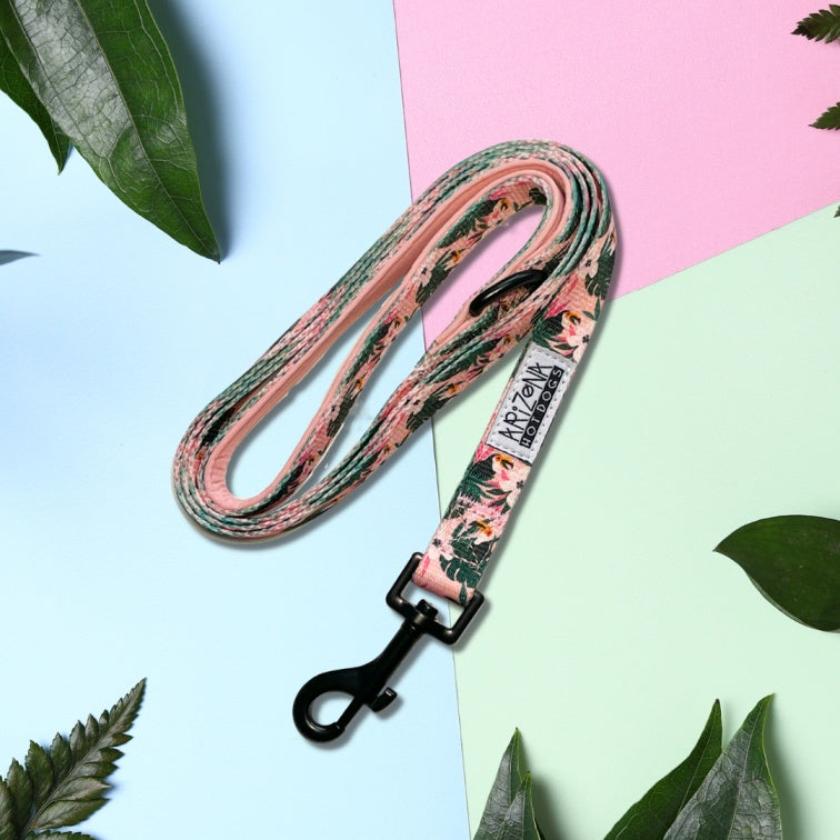 Laisse Nylon pour chien - Tropicool