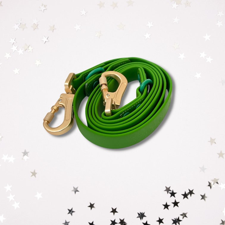 Laisse Multipositionnable PVC - Taurus