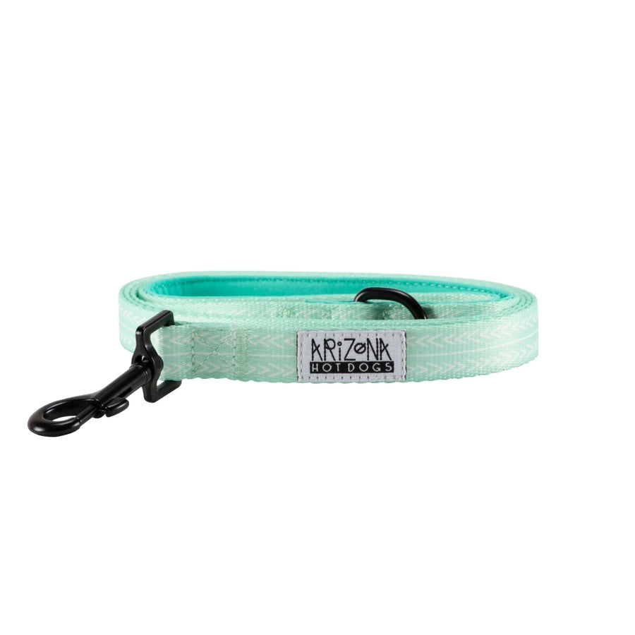 Laisse Nylon pour chien - Fresh Mint