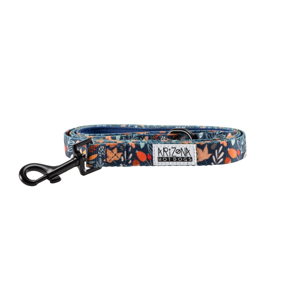 Laisse Nylon pour chien - Fall in Love