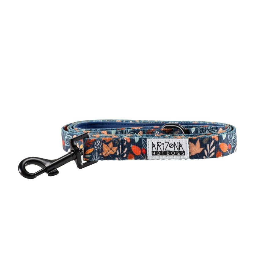 Laisse Nylon pour chien - Fall in Love