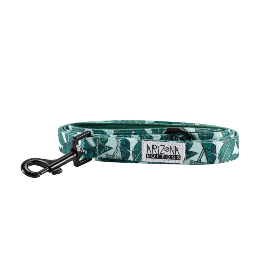 Laisse Nylon pour chien - Amazonia