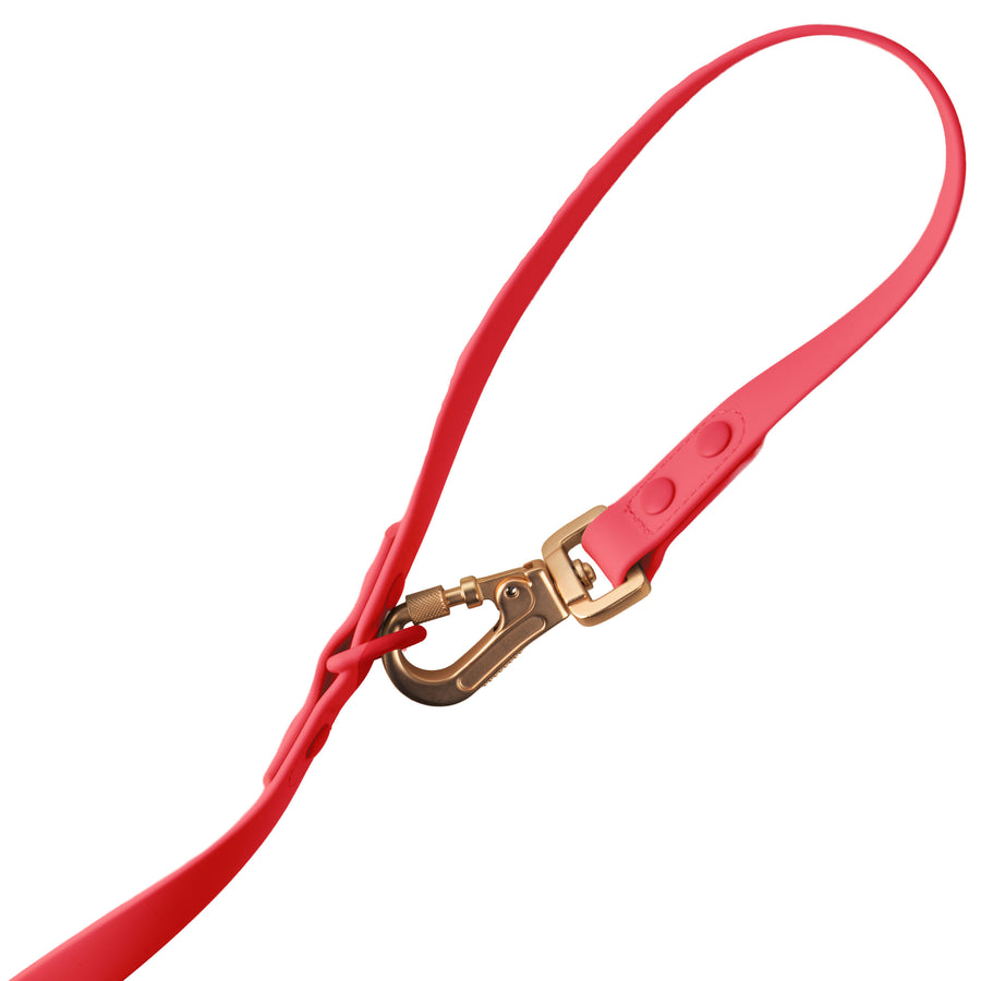 Laisse Multipositionnable PVC - Aries