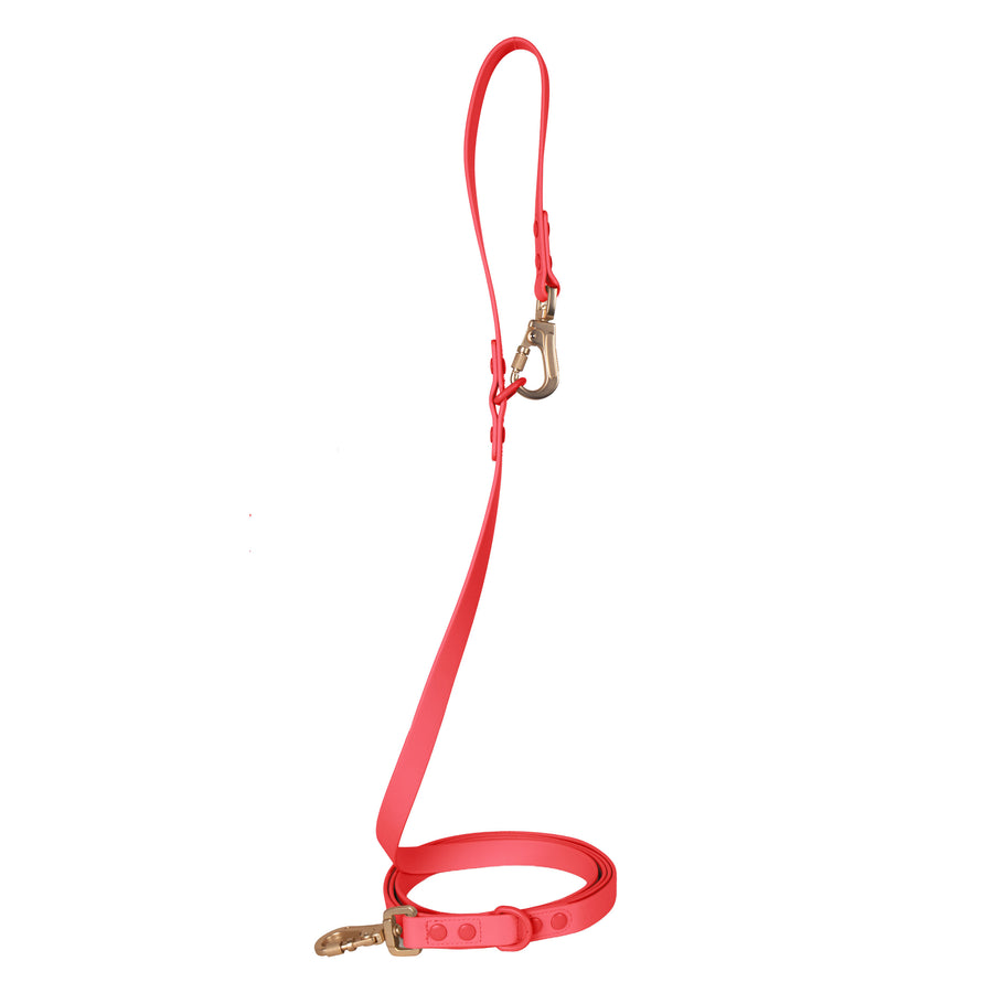 Laisse Multipositionnable PVC - Aries