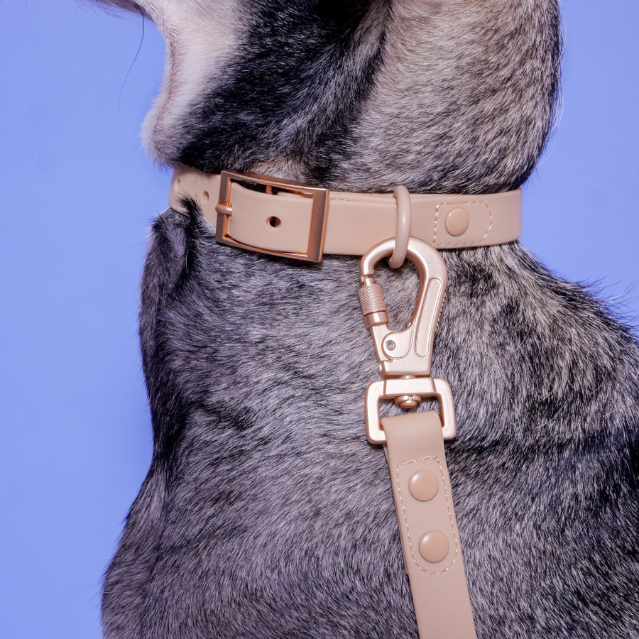 Collier PVC personnalisable - Scorpius