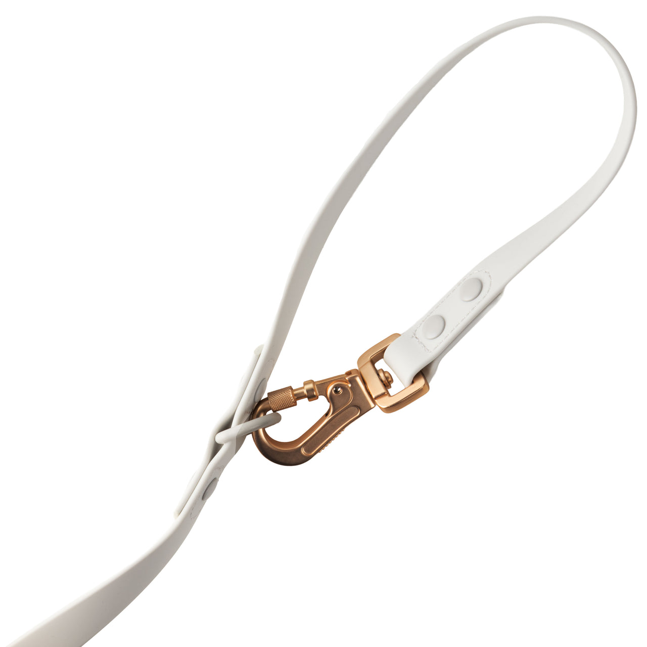 Laisse Multipositionnable PVC - Cancer