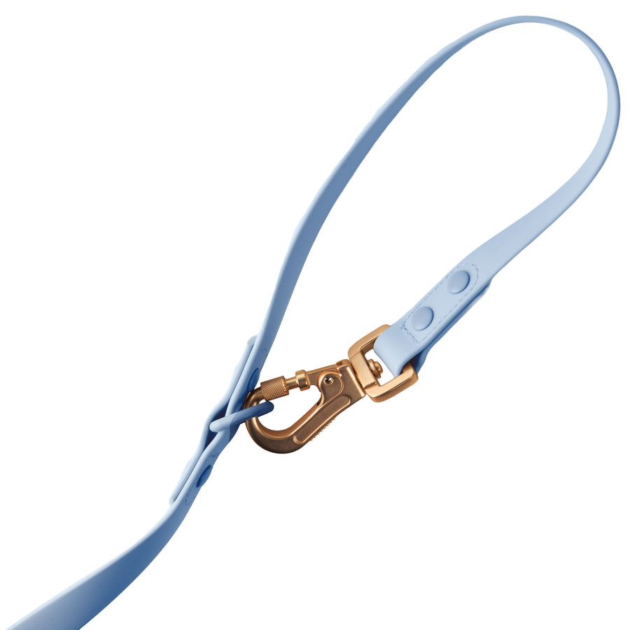 Laisse Multipositionnable PVC - Virgo