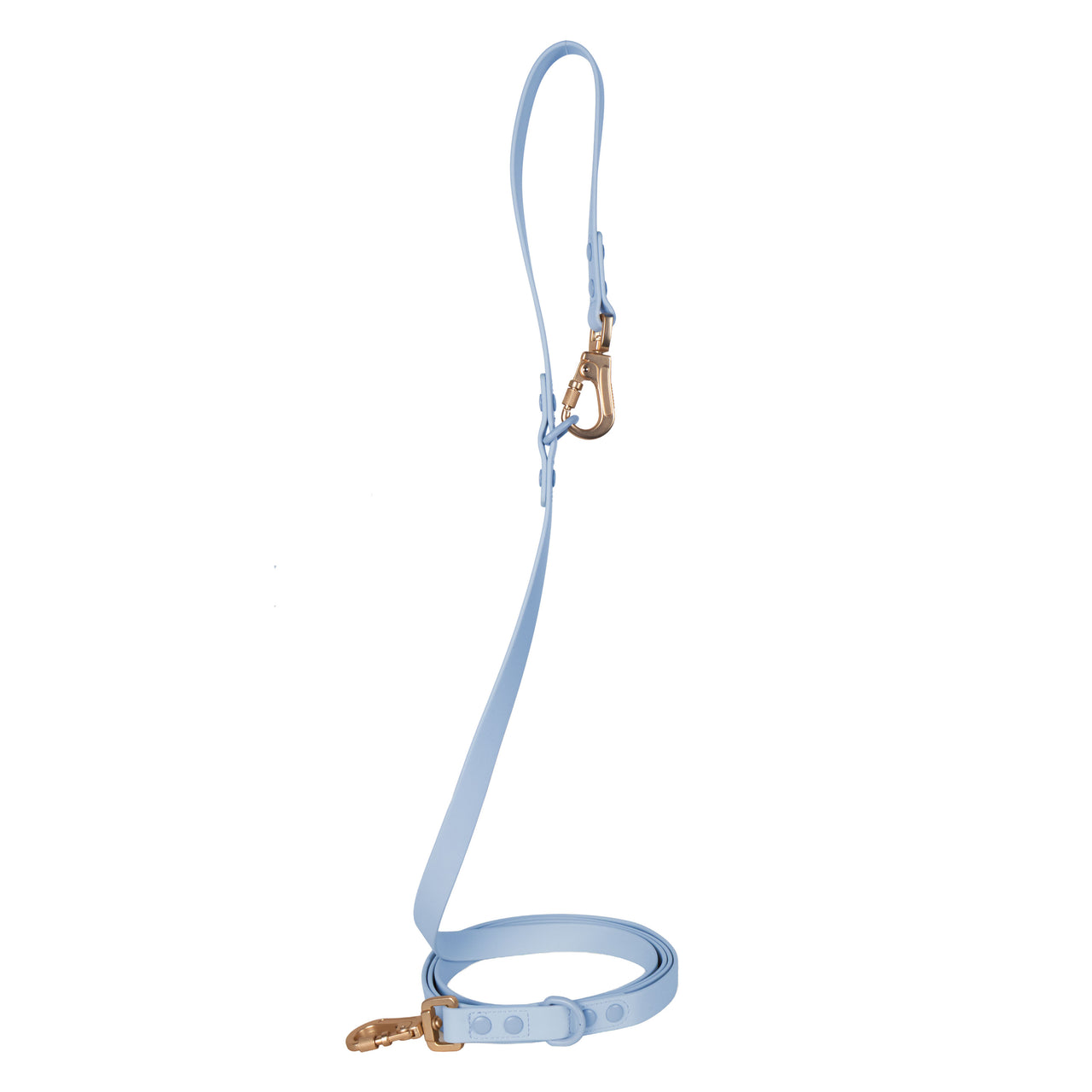Laisse Multipositionnable PVC - Virgo