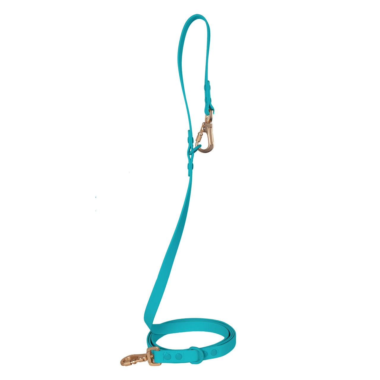 Laisse Multipositionnable PVC - Pisces