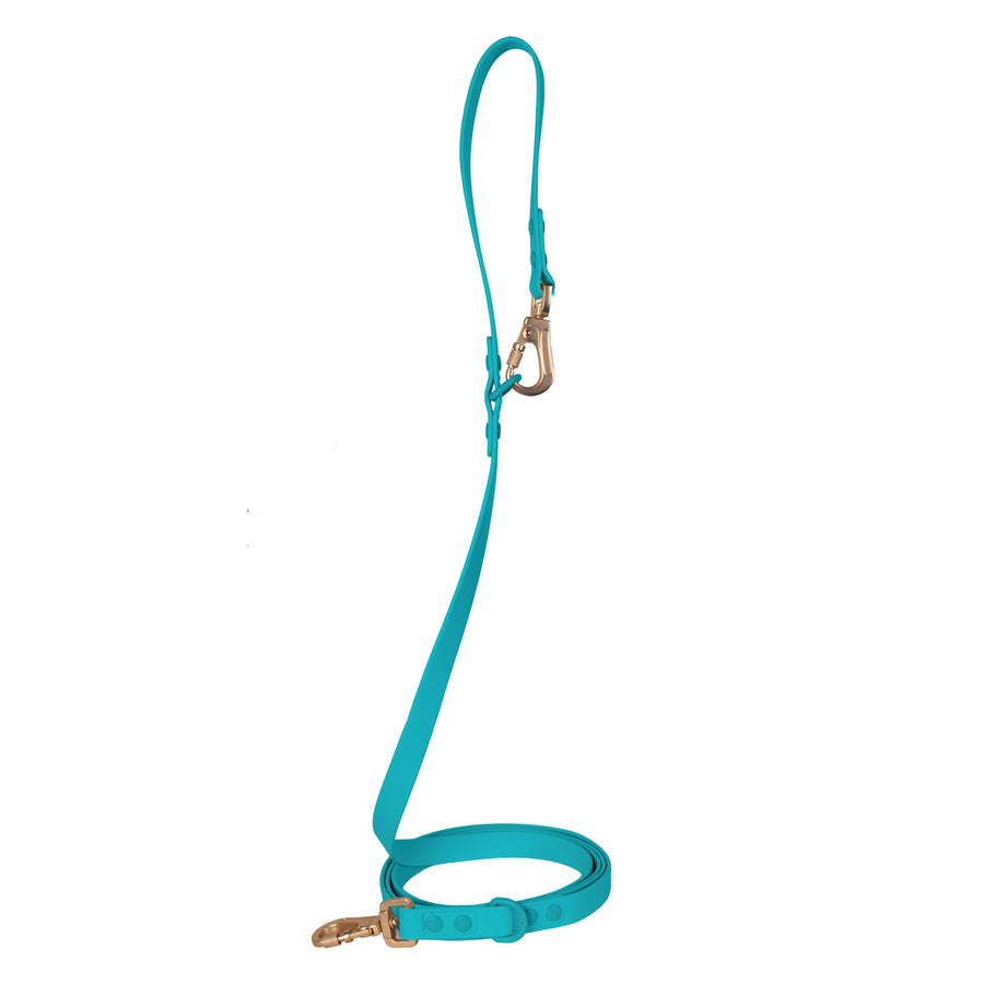 Laisse Multipositionnable PVC - Pisces