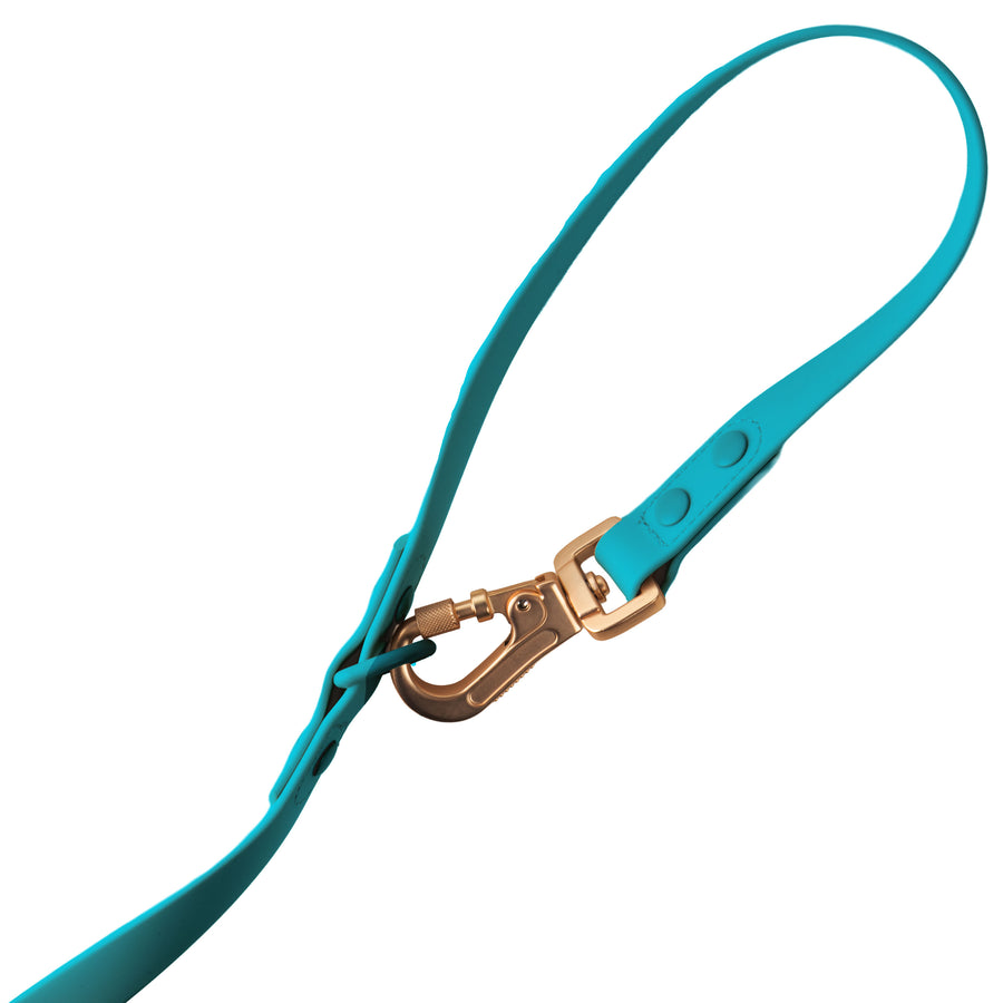 Laisse Multipositionnable PVC - Pisces