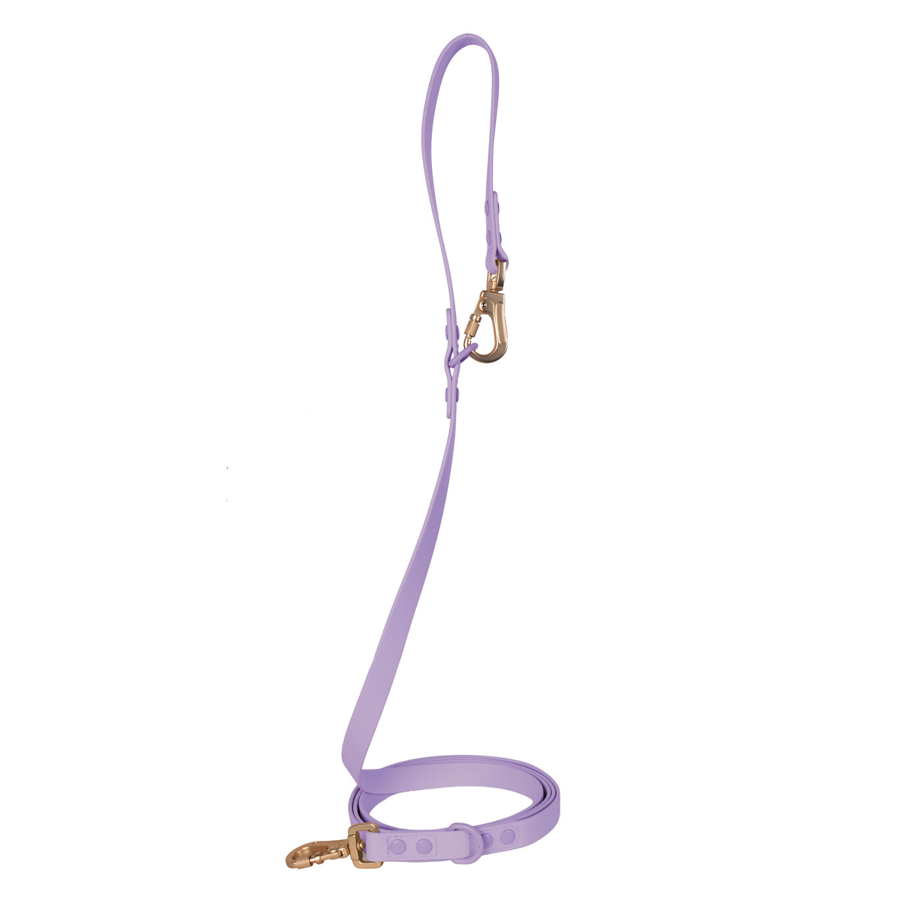 Laisse Multipositionnable PVC - Sagittarius