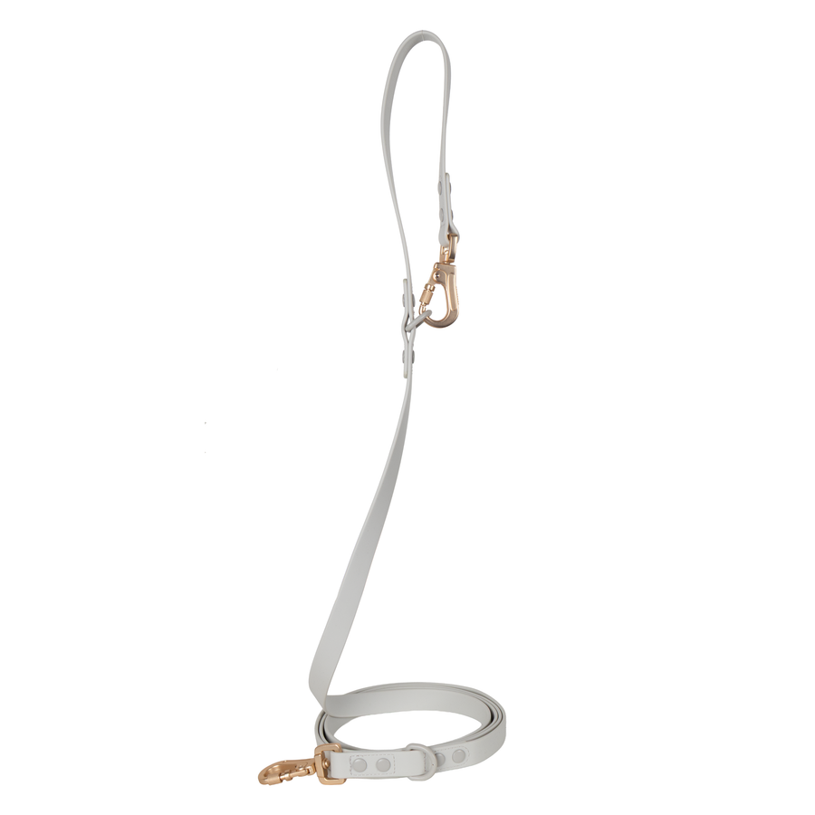 Laisse Multipositionnable PVC - Cancer