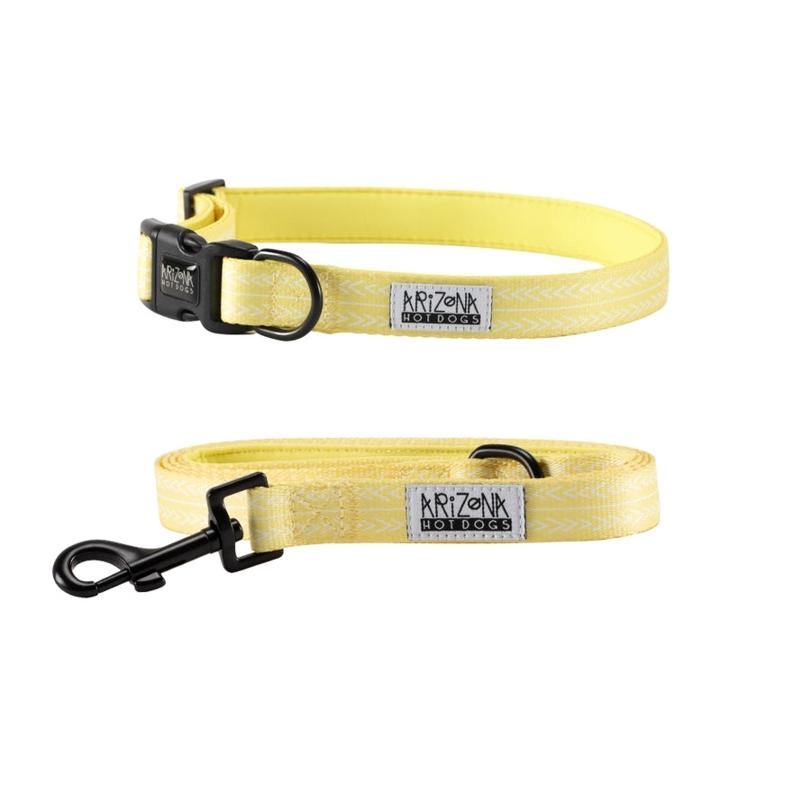 Collier Nylon pour chien - Lemon