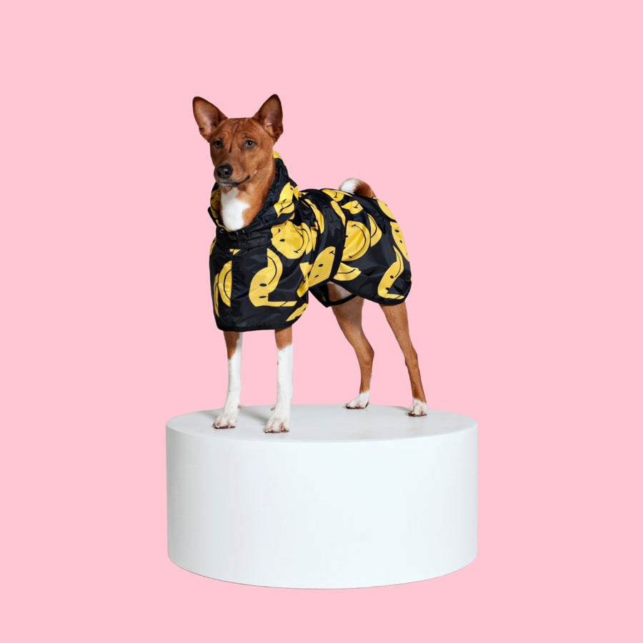 Poncho de Pluie Smiley pour Chien