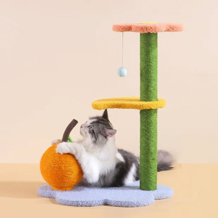 Le Potager des Félins