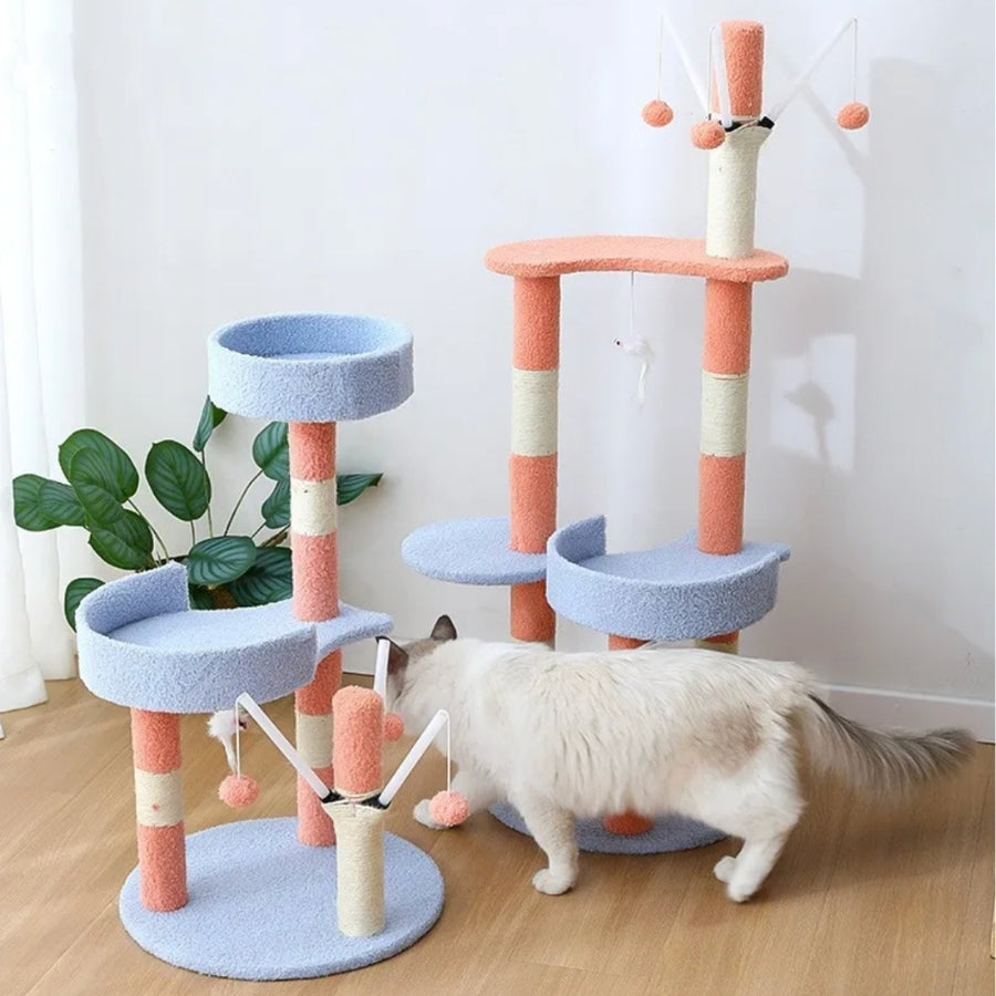 L'Arène des Pattes Agiles