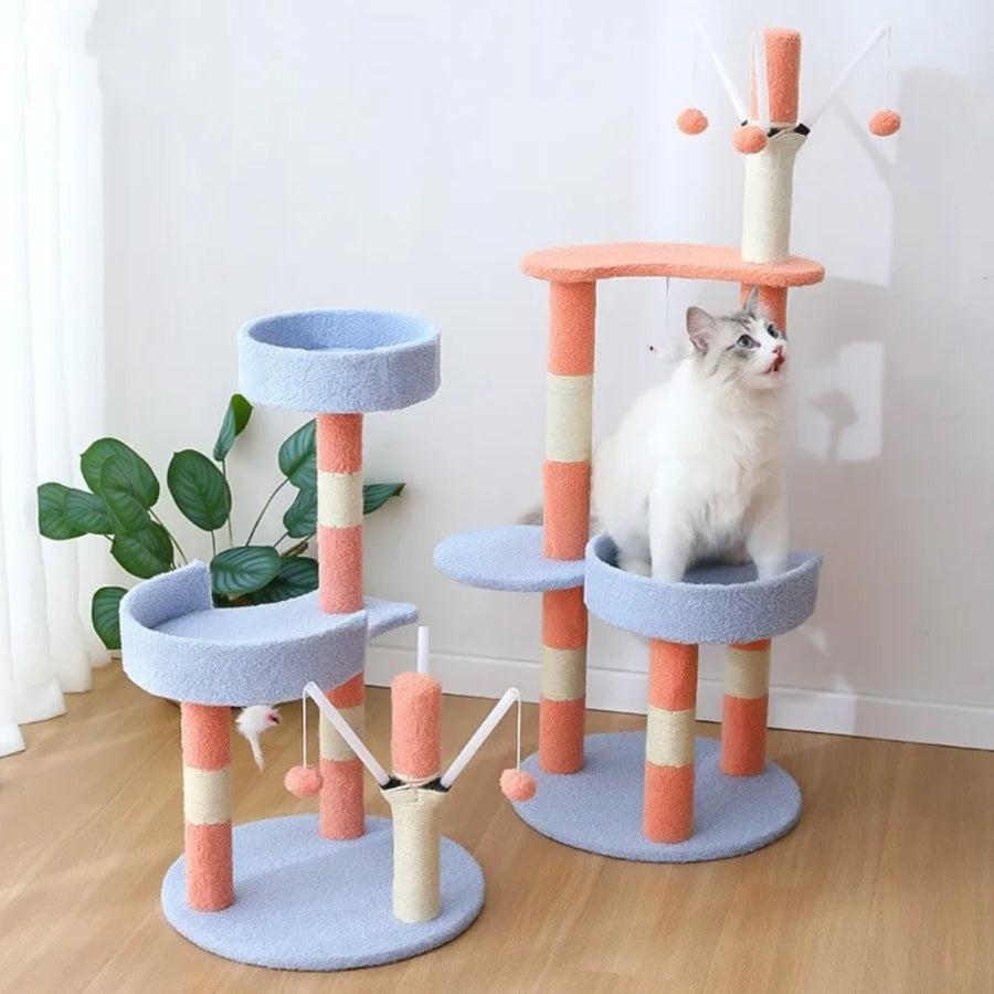 L'Arène des Pattes Agiles