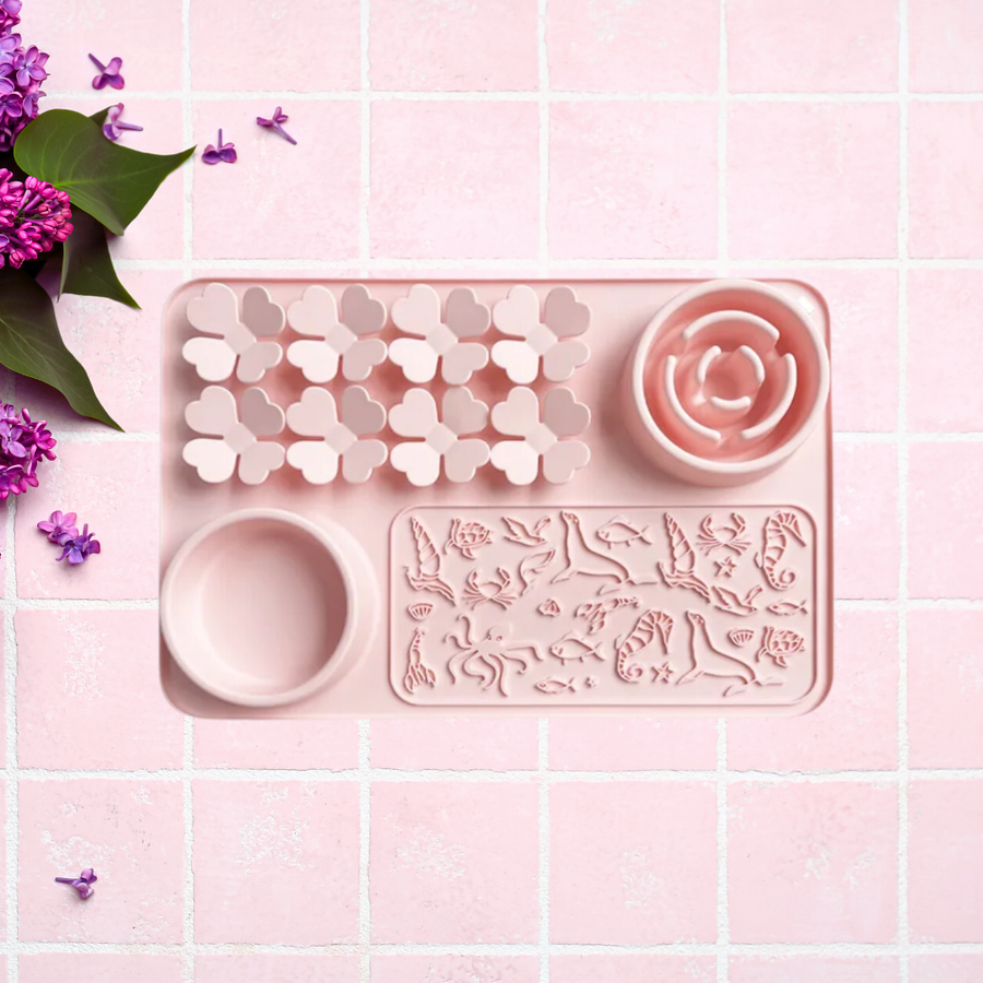 Parcours Sensoriel Petal Kiss Rose