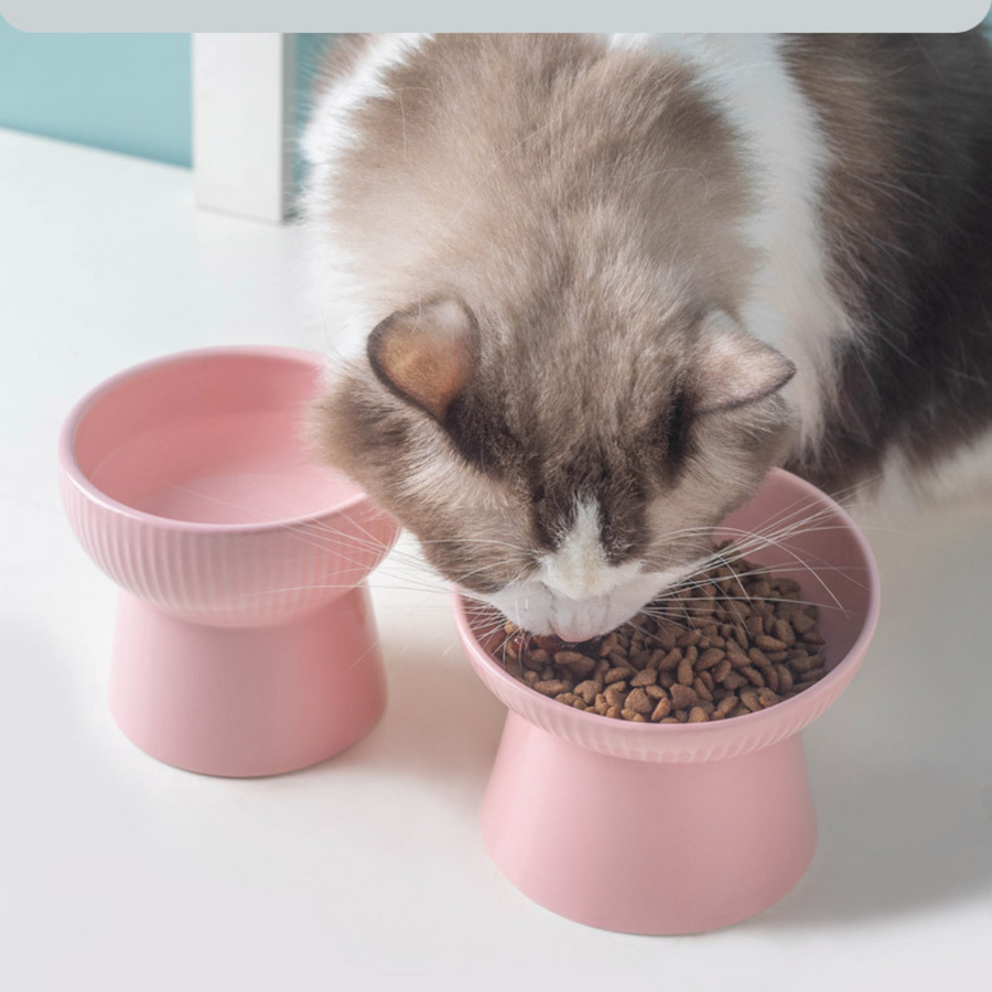 Gamelle Surélevée Bonbon