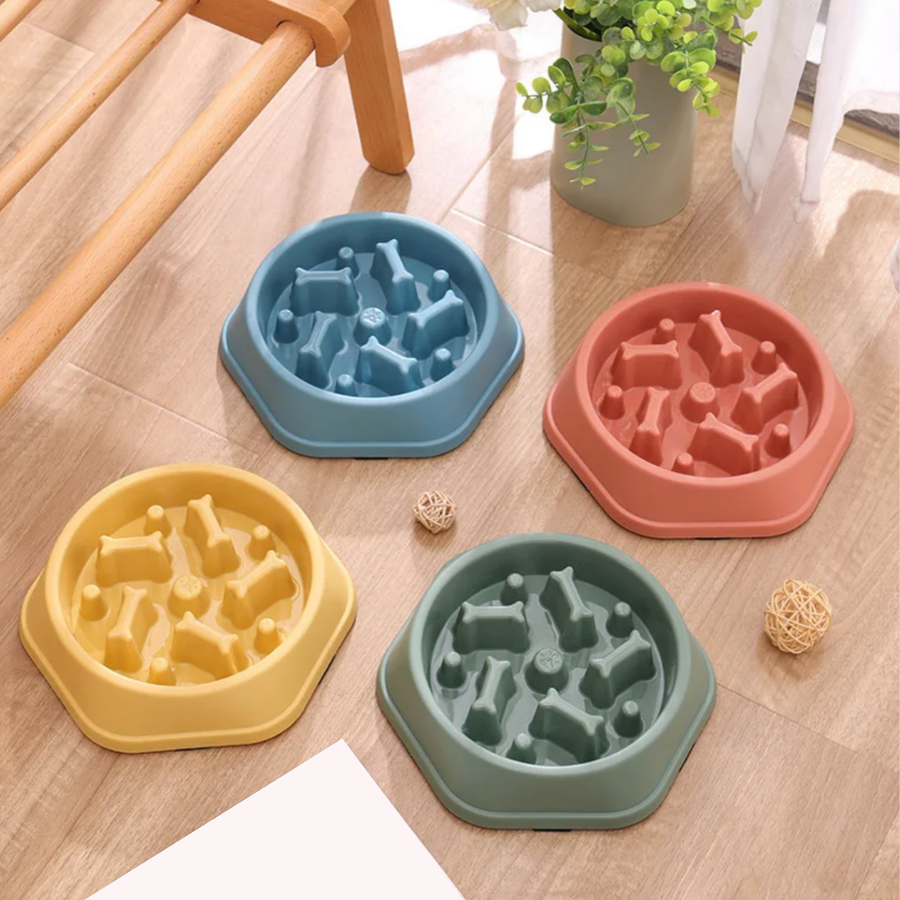 Gamelle Anti-Glouton Nonos bleu