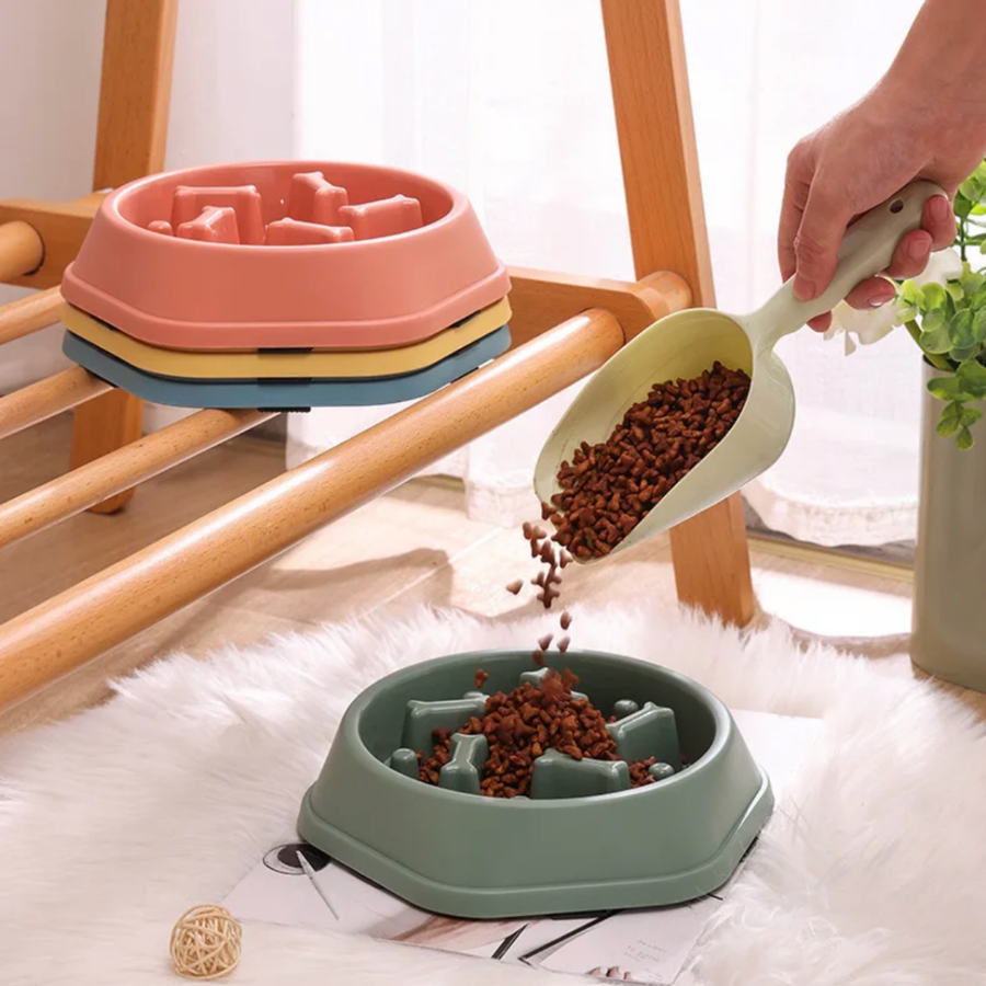 Gamelle Anti-Glouton Nonos bleu