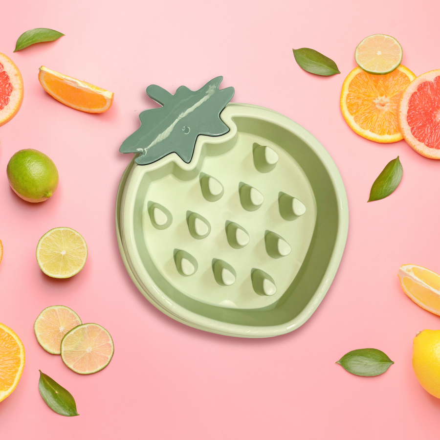 Gamelle Fraise Verte