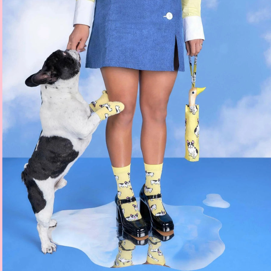 Parapluie Bouledogue