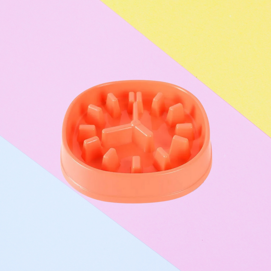 Gamelle Tic'Tac Corail