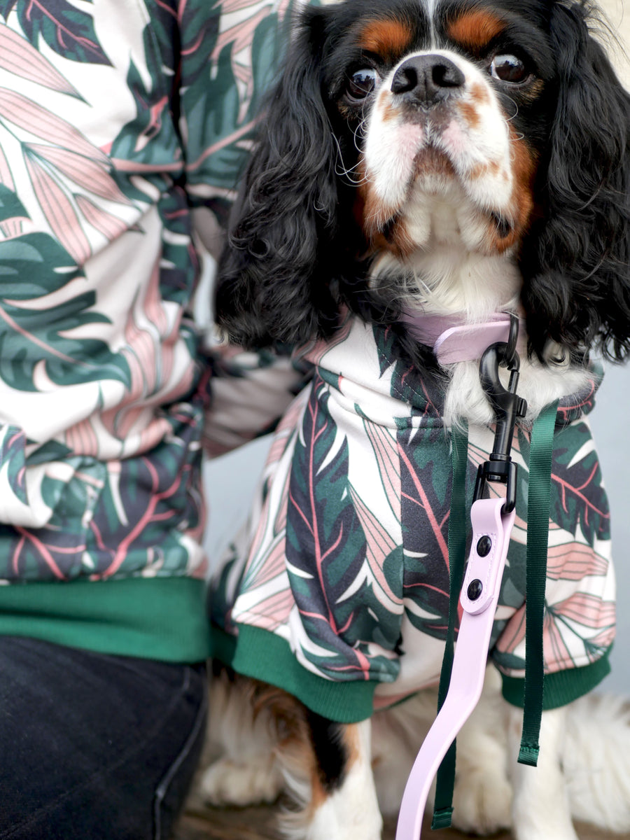 Sweatshirt Jungle Blue