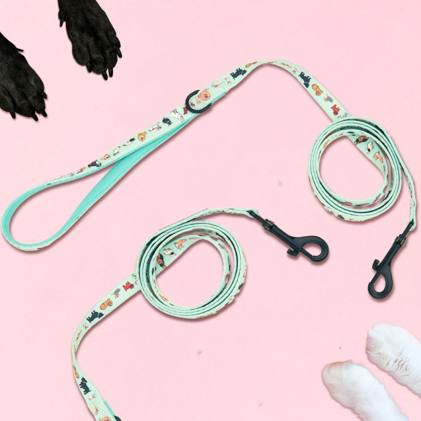 Laisse Nylon pour chien - Coucou Suzette