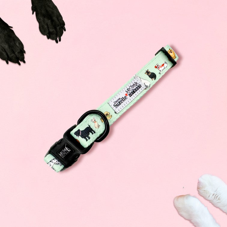 Collier Nylon pour chien - Coucou Suzette