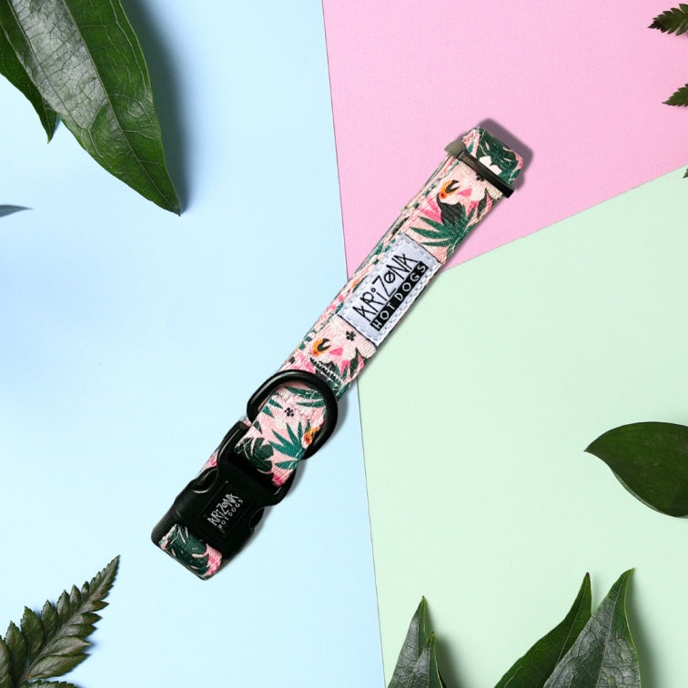 Collier Nylon pour chien - Tropicool