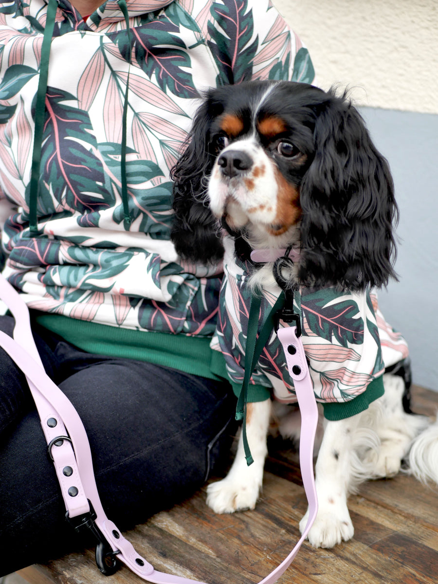 Sweatshirt Jungle Blue