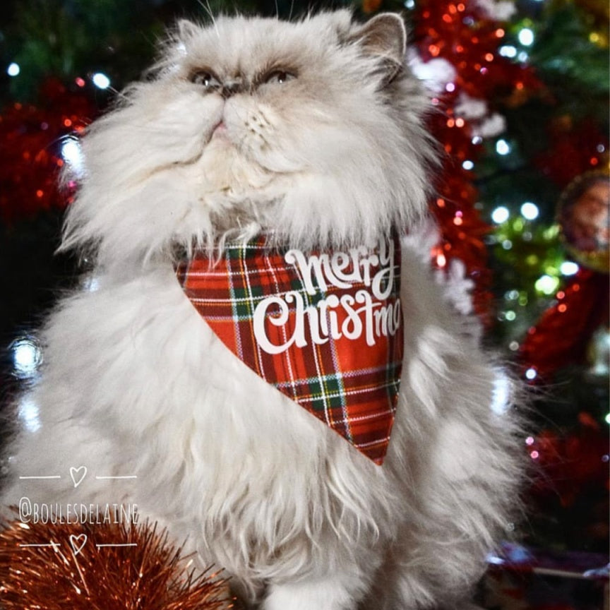bandana de noel pour chats
