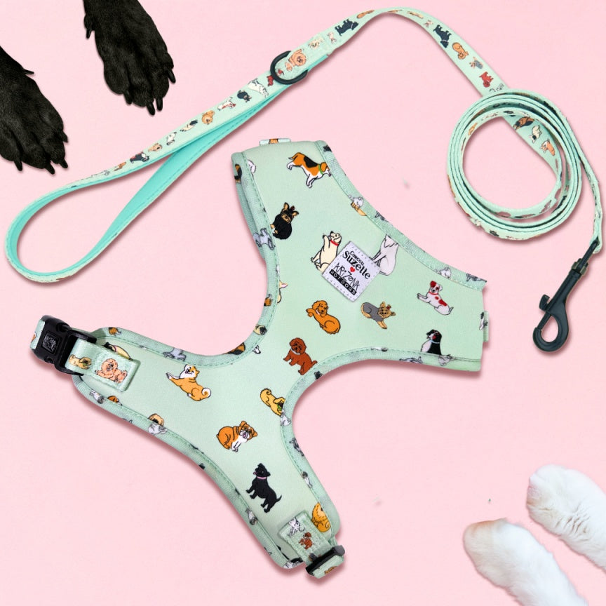 Laisse Nylon pour chien - Coucou Suzette